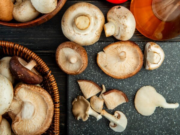 Cogumelos comestíveis no Brasil: espécies conhecidas, usos culinários e cuidados